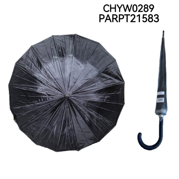 PARAGUA LARGO LISO NEGRO CHYW0289-60