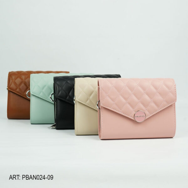 CARTERA PBAN024-09