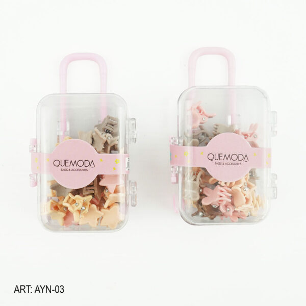 SET DE BROCHECITOS PARA PELO AYN-03