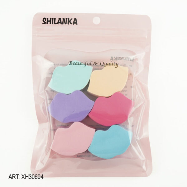 SET ESPONJAS X6PCS XH30694