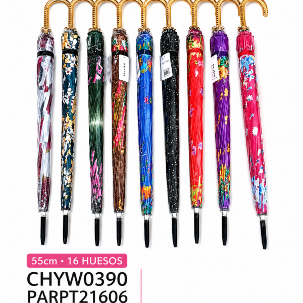 PARAGUA CHYW0390-60