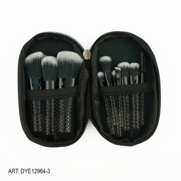 SET BROCHAS MINI X8PCS CON ESTUCHE DYE12984-3