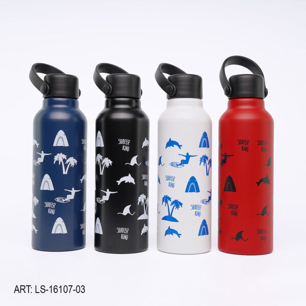 BOTELLA ALMINIO 750ML CON DIBUJOS LS-16107-03-60
